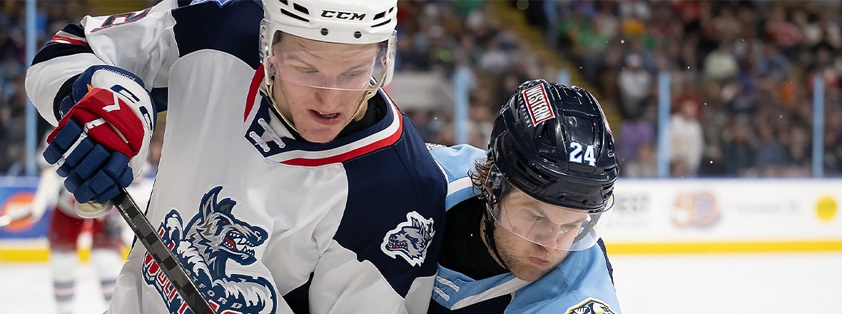 DYLAN ROOBROECK STRIKES TWICE AS WOLF PACK DOWN ADMIRALS 4-2